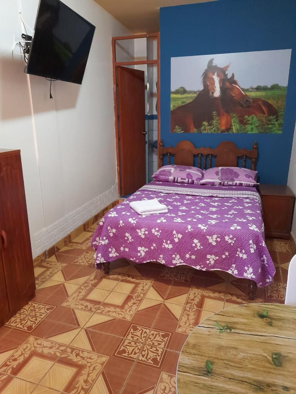 Nasca Trails B&B Nazca Buitenkant foto