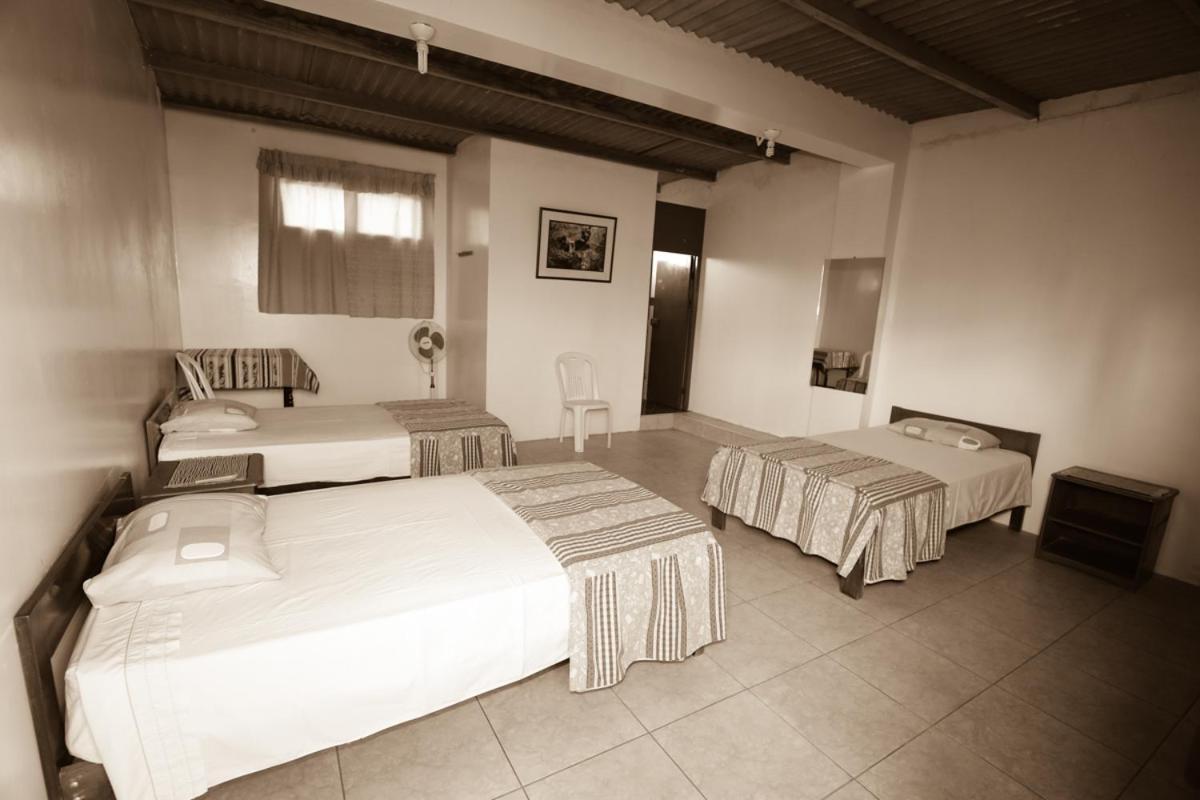 Nasca Trails B&B Nazca Buitenkant foto